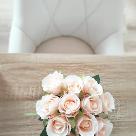 Donna Raffaela